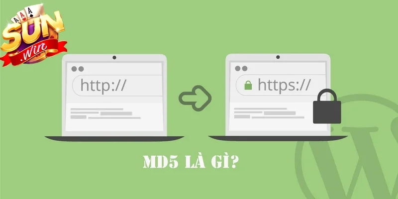 Md5 là thuật toán mã hóa dữ liệu phổ biến